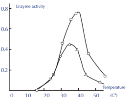 enzyme activity pdf