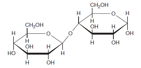 structure glucose maltose Disaccharides Properties Biology Of  Revision Notes A  Level