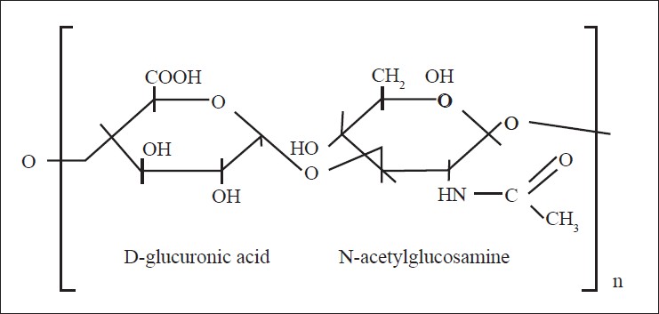 structure of polysaccharide