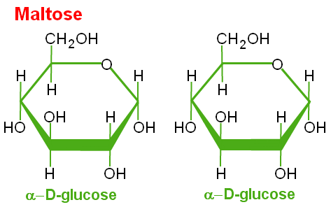 chemical structure of maltose