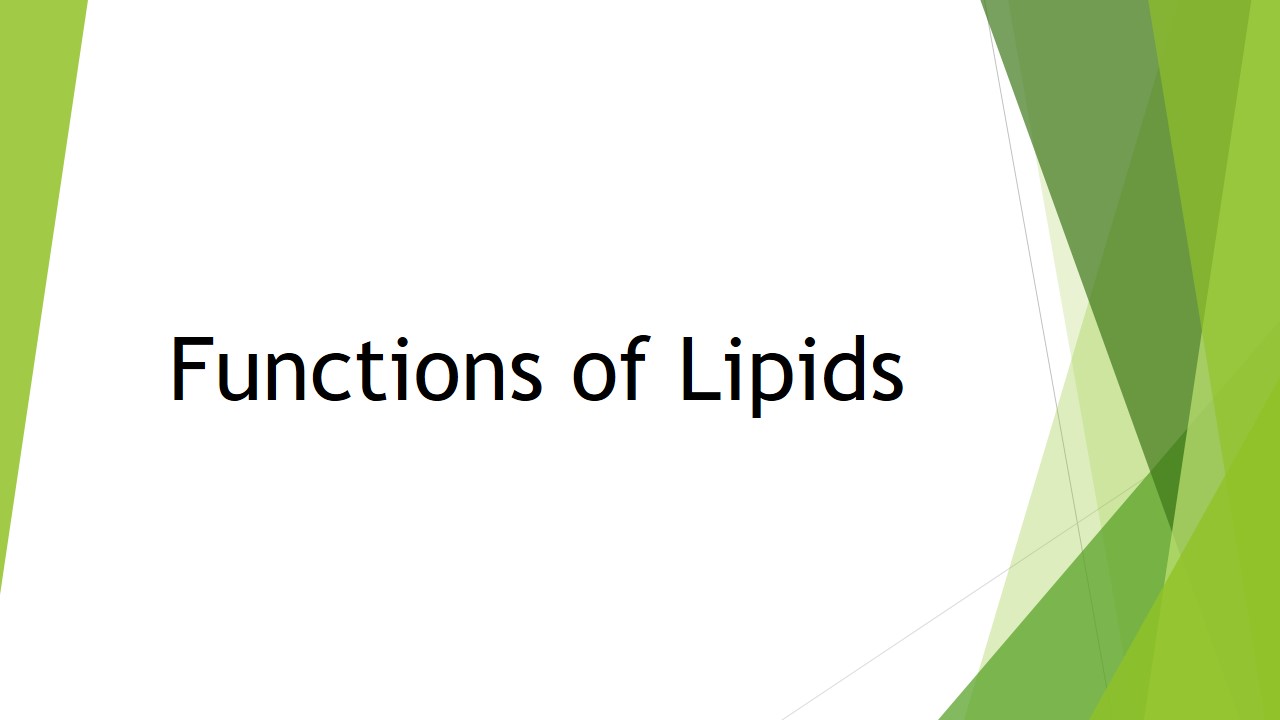 Functions Of Lipids What Where How A Level Notes