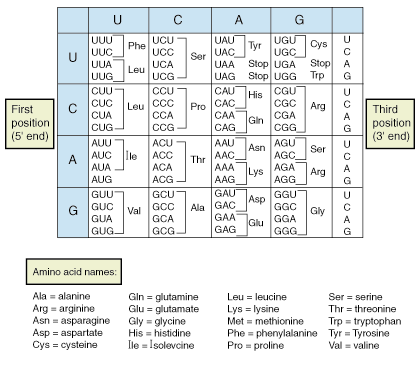 Standard Genetic Code Chart