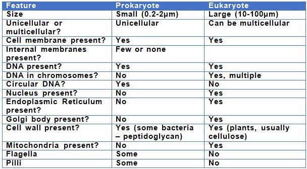 Prokaryotic Cells Vs Eukaryotic Cells Chart