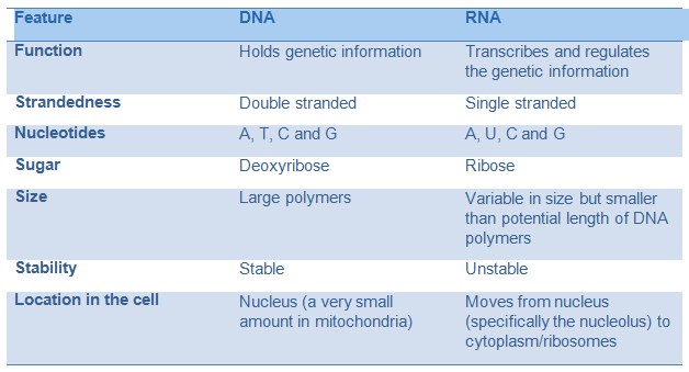 dna vs rna tcr repertoire