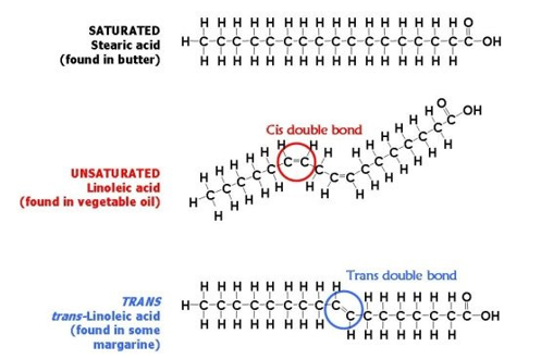 triglycerides saturated and unsaturated