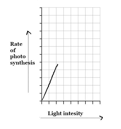 factors affecting rate of photosynthesis in plants